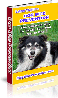 Dog Bite Prevention